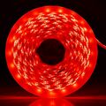 WB1115 - Striscia LED 12V 5m luce rossa 4.8W/m - Strisce LED