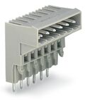 NOS100755 - Connettore WAGO maschio 10 poli - Connettori Adattatori