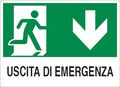 WB2361 - Cartello segnaletico uscita di emergenza 30x20cm - Segnaletica