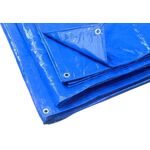 A9249 - Telo occhiellato multiuso in polietilene  4×5m 90 g/m² - Attrezzi e utensili