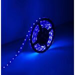 N210 - Striscia LED 12V 5m luce blu 4.8W/m - Strisce LED