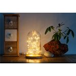 F1722 - Campana in vetro con catena luminosa a micro LED Goobay - Illuminazione Decorativa