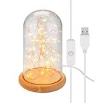 F1722 - Campana in vetro con catena luminosa a micro LED Goobay - Illuminazione Decorativa