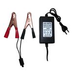 T630 - Caricabatterie 12V 5A per batterie al piombo - Alimentatori