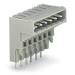 NOS100755 - Connettore WAGO maschio 10 poli - Connettori Adattatori