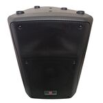 FYS-12PA-58P - Cassa acustica passiva 250W 8 Ohm - Casse Acustiche