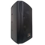 FYS-12PA-58P - Cassa acustica passiva 250W 8 Ohm - Casse Acustiche