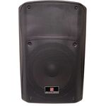 FYS-12PA-58P - Cassa acustica passiva 250W 8 Ohm - Casse Acustiche