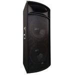 VS-1551B - Cassa acustica passiva doppio woofer 15” 1600W 8 OHM 3 vie - Casse Acustiche