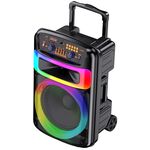 KK-12101 - Cassa acustica portatile ricaricabile trolley 12" 40W Luce LED Bluetooth TWS/SD/USB KK-12101 - Casse Acustiche