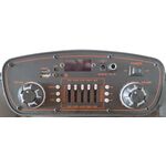 Q1518A - Cassa acustica trolley 15" Luce LED Bluetooth/SD/USB/Radio - Casse Acustiche