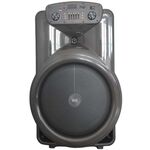 Q1518A - Cassa acustica trolley 15" Luce LED Bluetooth/SD/USB/Radio - Casse Acustiche