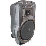 Q1518A - Cassa acustica trolley 15" Luce LED Bluetooth/SD/USB/Radio - Casse Acustiche
