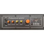 LY33-B - Coppia casse acustiche amplificate da 12" con Bluetooth 250W max - Casse Acustiche