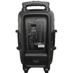 KP-128 - Cassa acustica amplificata con maniglia e ruote USB/SD/Bluetooth 350W 12" - Casse Acustiche