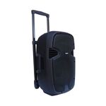 KP-128 - Cassa acustica amplificata con maniglia e ruote USB/SD/Bluetooth 350W 12" - Casse Acustiche