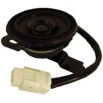 W171 - Tweeter 2" 50W max - Ricambi