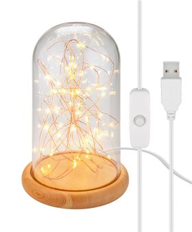 F1722 - Campana in vetro con catena luminosa a micro LED Goobay - Illuminazione Decorativa