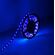 N210 - Striscia LED 12V 5m luce blu 4.8W/m - Strisce LED