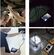 WB278 - Telecamera endoscopica con palmare 4.3" LCD FULL HD - Attrezzi e utensili