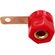 SP473 - Connettore a banana rosso da panello - Connettori Adattatori