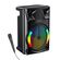 JD032 - Cassa acustica ricaricabile luci LED 8" 20W Bluetooth/USB/FM JD032 - Casse Acustiche