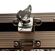 E9150 - Mixer Audio Professionale 8 Canali 850W con Effetti DSP, USB/SD, EQ Grafico e Flight Case - Mixer