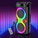 KK-8201 - Cassa acustica portatile ricaricabile 2x8" 30W Luce LED Bluetooth TWS/SD/USB KK-8201 - Casse Acustiche
