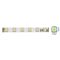 EL1558 - Striscia LED 14,4W/m 1200lm luce fredda 6500K  12V IP20 5m Vito - Strisce LED