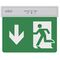 EL411 - Lampada LED uscita d'emergenza freccia verso il basso 2W 6500k luce fredda - Illuminazione di Sicurezza