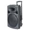 ND-12 - Cassa acustica amplificata 12” con microfono e telecomando Bluetooth/Radio FM - Casse Acustiche