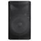 RCX-15 - Cassa acustica professionale 2200W 4~8 OHMS 2 vie RCX-15 - Casse Acustiche