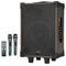 D-12 - Cassa acustica portatile ricaricabile trolley 12" 80W Bluetooth/SD/USB - Casse Acustiche
