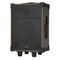 D-10 - Cassa acustica portatile ricaricabile trolley 10" 80W Bluetooth/SD/USB - Casse Acustiche
