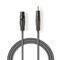 ND4982 - Cavo Audio XLR Bilanciato Femmina a 3 Pin XLR-Maschio da 3,5mm 1m - Cavi Audio Video